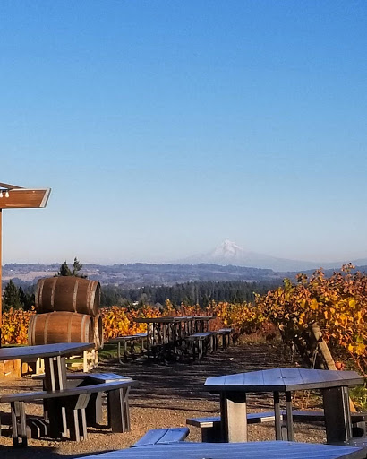 Winery «Ardiri Winery & Vineyards», reviews and photos, 35040 Southwest Unger Road, Cornelius, OR 97113, USA