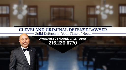 Ian N. Friedman, 1360 E 9th St #650, Cleveland, OH 44114, USA, Criminal Justice Attorney