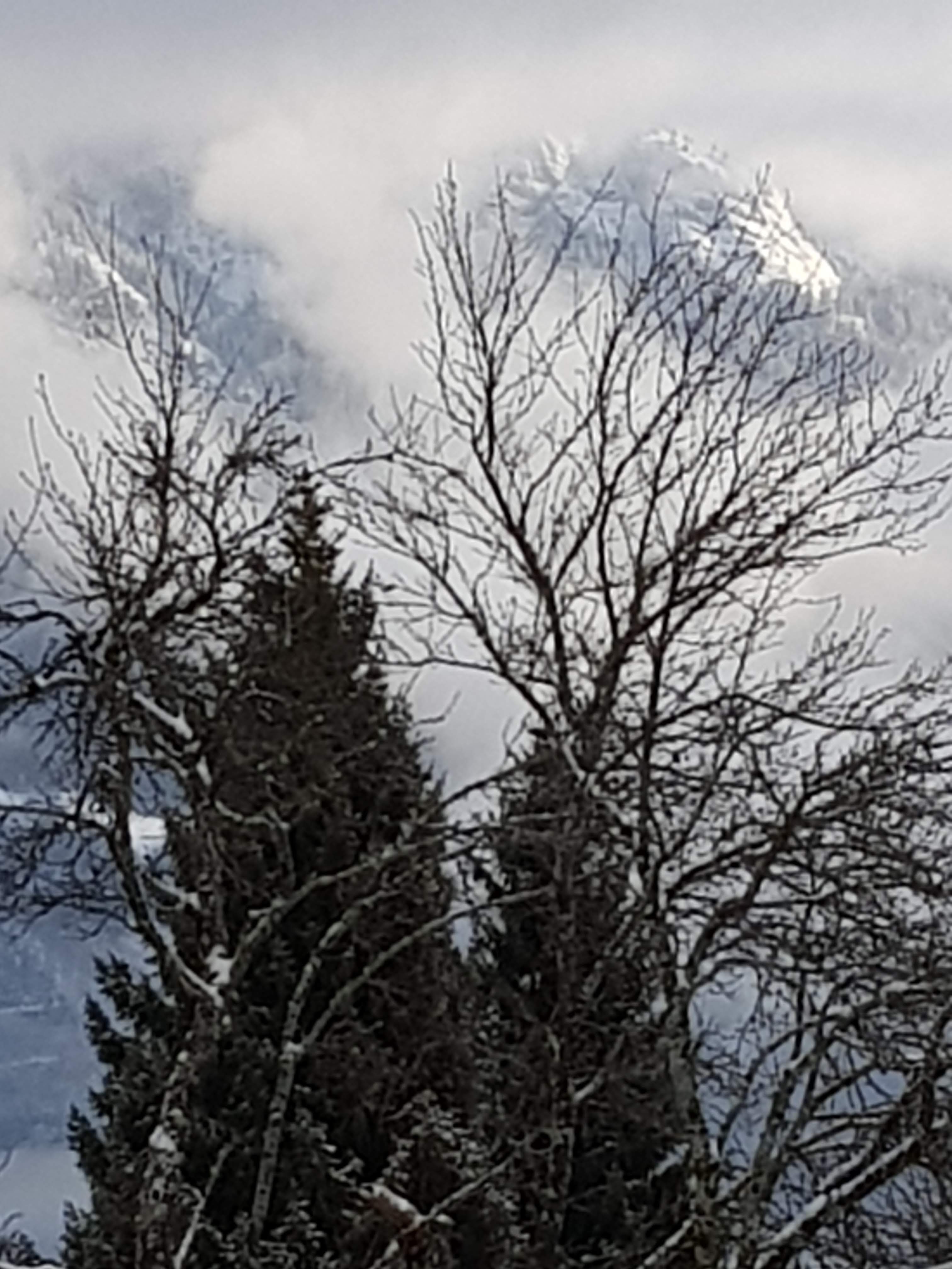 Photo n° 6 de l'avis de Francis.e fait le 05/02/2020 à 17:36