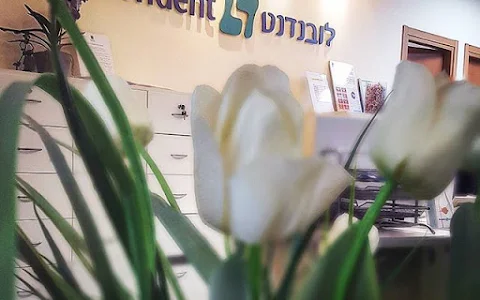 רופא שיניים בתל אביב - מרפאת לובנדנט בע"מ image