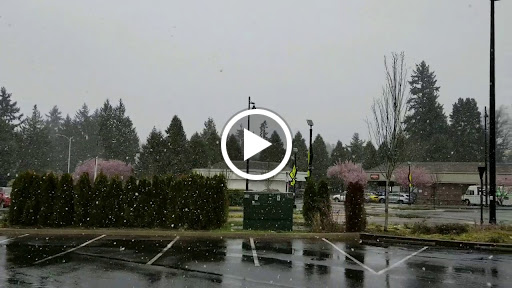 Dry Cleaner «City Dry Cleaners», reviews and photos, 8410 Main St, Edmonds, WA 98026, USA