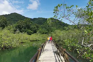Parque Nacional Natural Utría image