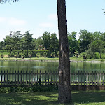 Photo n°1 de l'avis de Andrea.o fait le 01/07/2018 à 19:45 sur le  Pizzeria Ristorante e Gelateria Lago Verde à Treviso