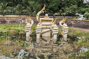 Nong Sa Phang Lenh Park image