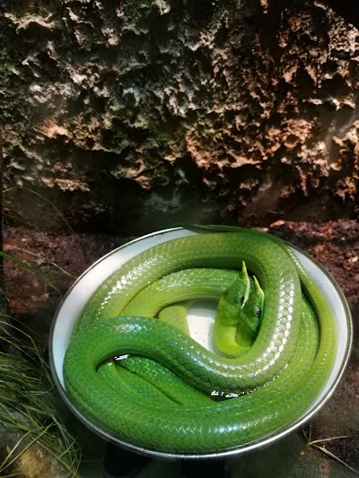 Photos of Terrariet Vissenbjerg