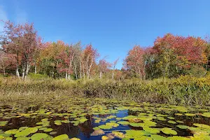 Quinebaug River Canoe Trail image