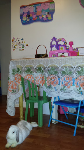 Title Company «Assurance Abstract», reviews and photos