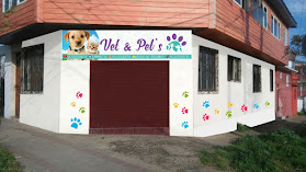 Vet & Pets Consulta Veterinaria