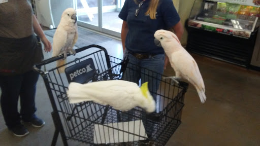 Pet Supply Store «Petco Animal Supplies», reviews and photos, 3975 Cascades Blvd #30, Kent, OH 44240, USA