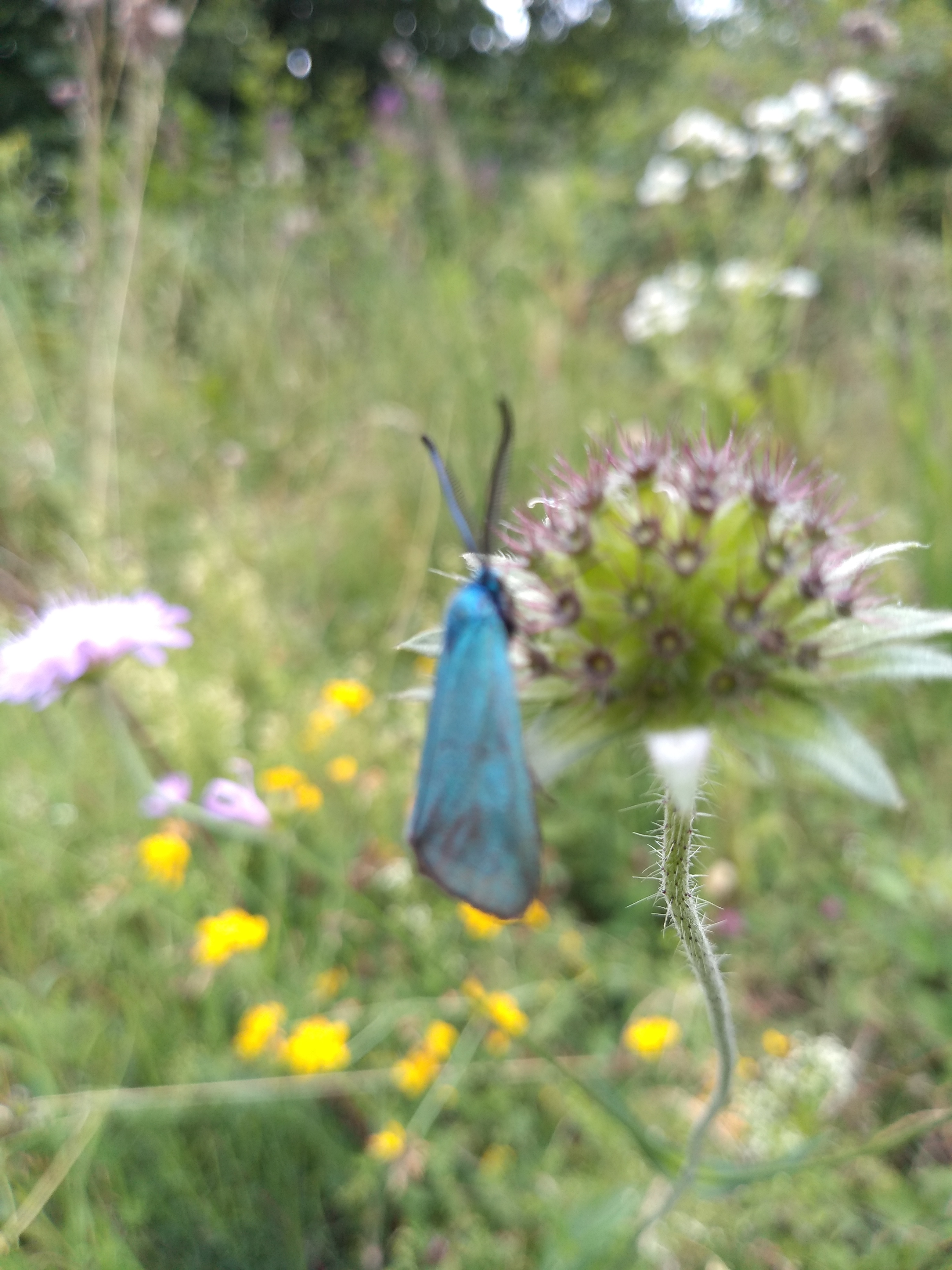 Photo n° 1 de l'avis de Arjo.o fait le 18/07/2020 à 15:54