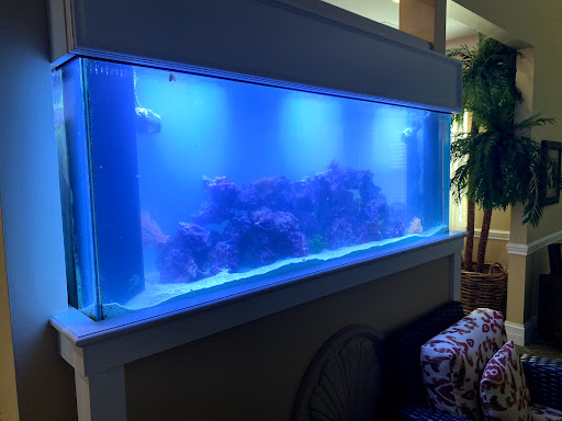 Tropical Fish Store «Hooked On Reefs», reviews and photos, 228 Hibiscus St #1, Jupiter, FL 33458, USA