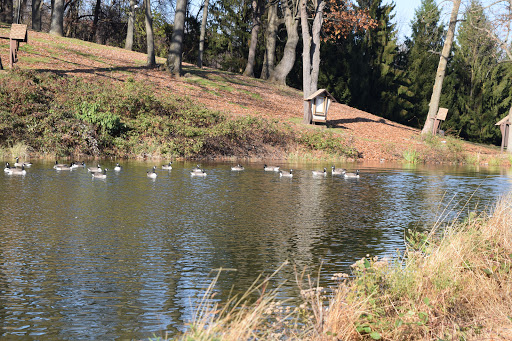 Catholic Church «World Apostolate of Fatima», reviews and photos, 674 Mountain View Rd E, Asbury, NJ 08802, USA