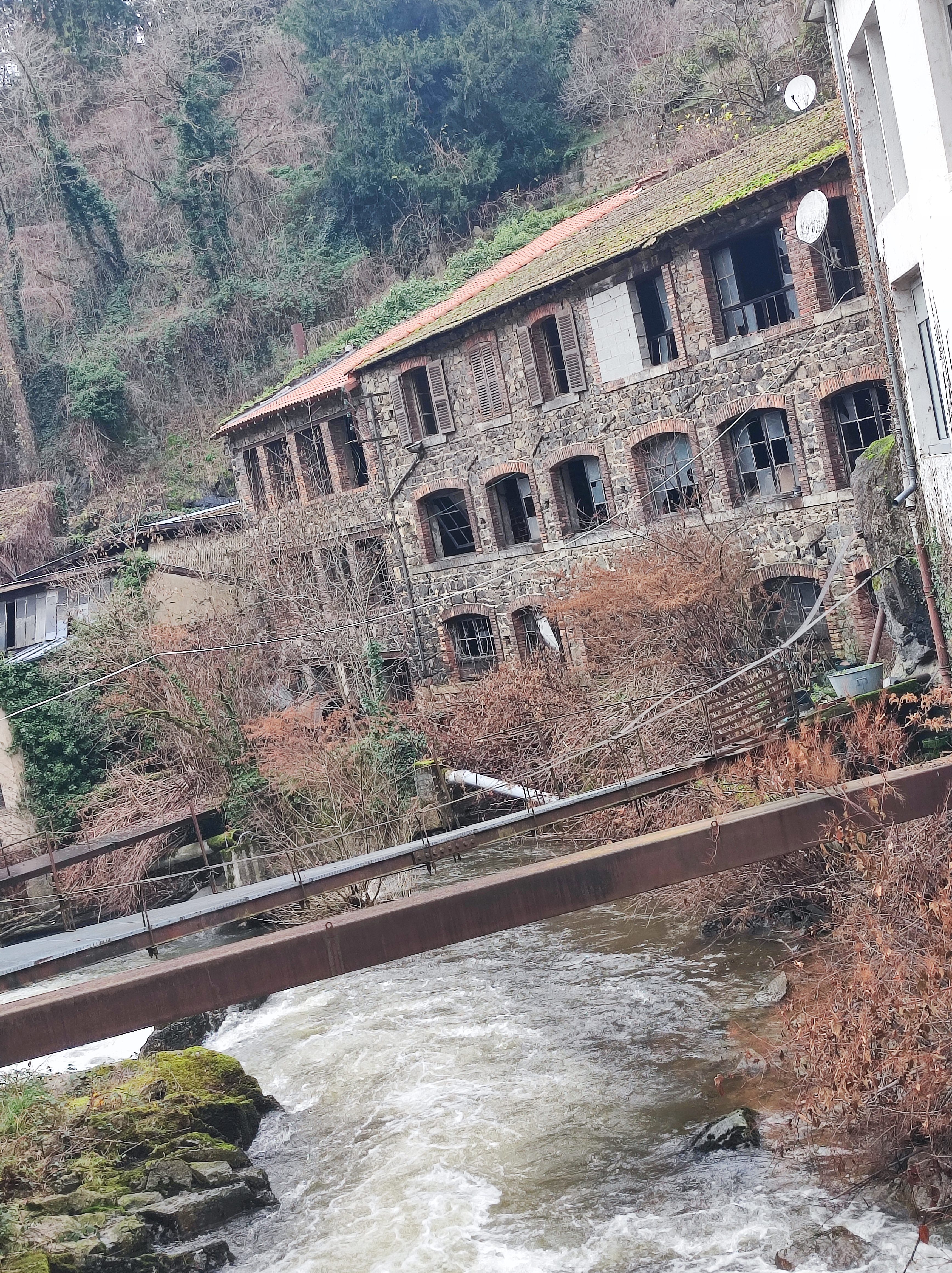 Photo n° 3 de l'avis de SoOrkid. fait le 28/12/2023 à 17:28