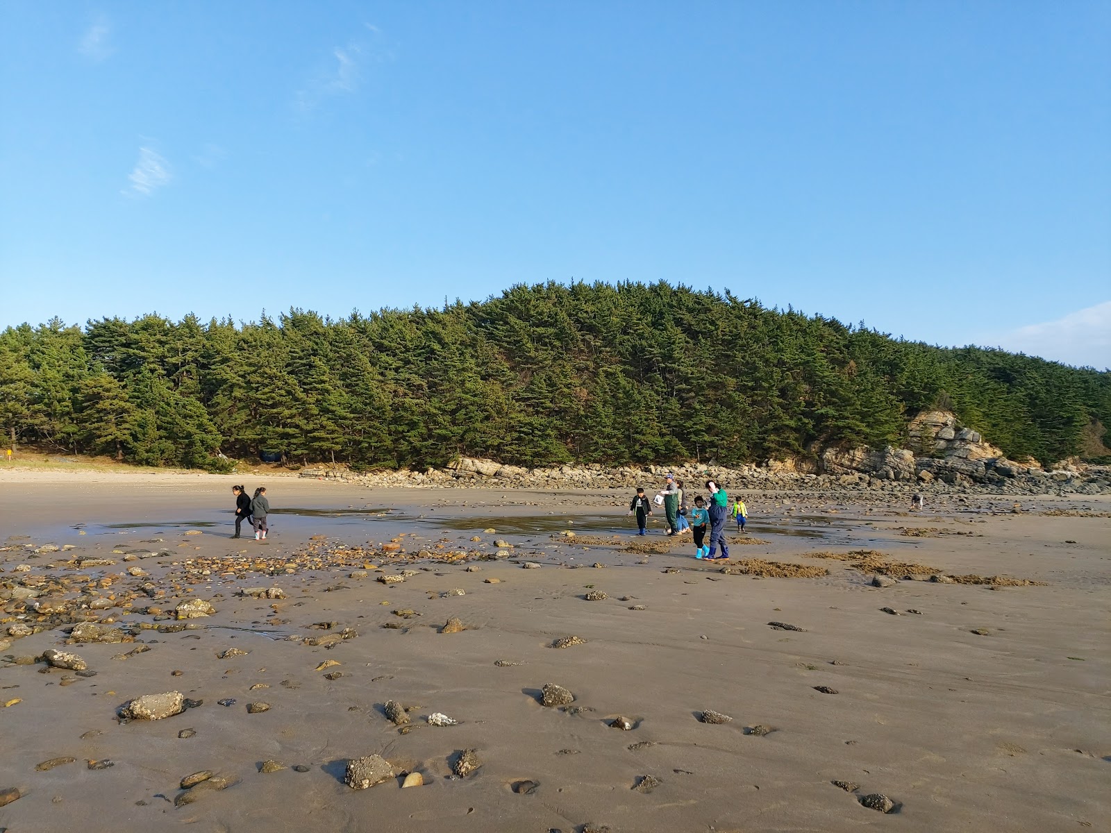 Foto af Meondong Beach med høj niveau af renlighed