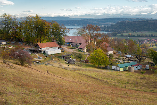 Domaine de Bel-Air