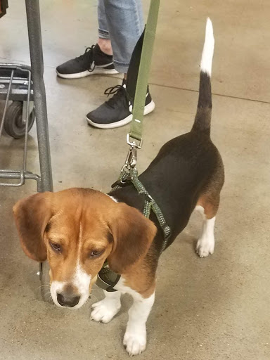 Pet Supply Store «PetSmart», reviews and photos, 2201 Gallatin Pike N, Madison, TN 37115, USA