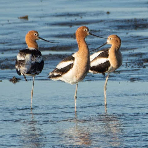  «Ocean City Welcome Center», reviews and photos, 300 W 9th St, Ocean City, NJ 08226, USA