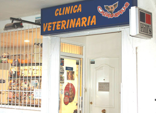 Clínica Veterinaria Chihuahua Tetuán Madrid
