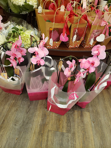 Shopping Mall «Bond Shopping Center», reviews and photos, 1891 S State Rd, Upper Darby, PA 19082, USA