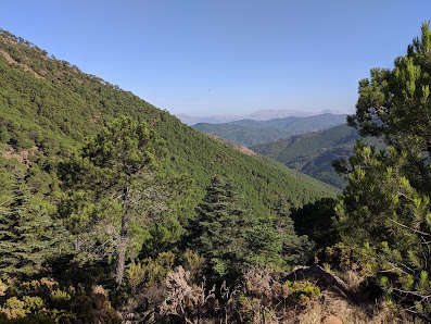 Paraje Natural Los Reales de Sierra Bermeja 29680 Estepona, Málaga, España