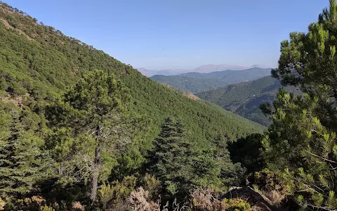 Paraje Natural Los Reales de Sierra Bermeja image