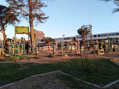 Plaza de Los Loros