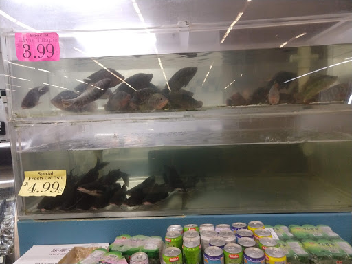 Asian Grocery Store «LF Market Oriental & Seafood», reviews and photos, 5350 W Bell Rd #115, Glendale, AZ 85308, USA