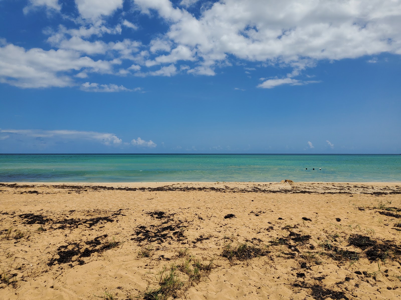 Zdjęcie Playa Palmas del mar z poziomem czystości wysoki