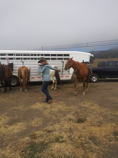 Stable «Ross Ranch», reviews and photos, 28300 Philo Greenwood Rd, Elk, CA 95432, USA