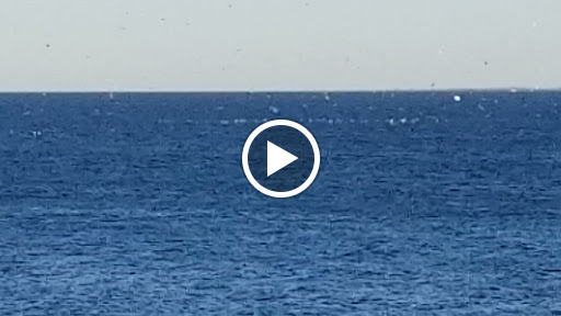 Park «Lemon Creek Park», reviews and photos, Hylan Blvd, Staten Island, NY 10309, USA