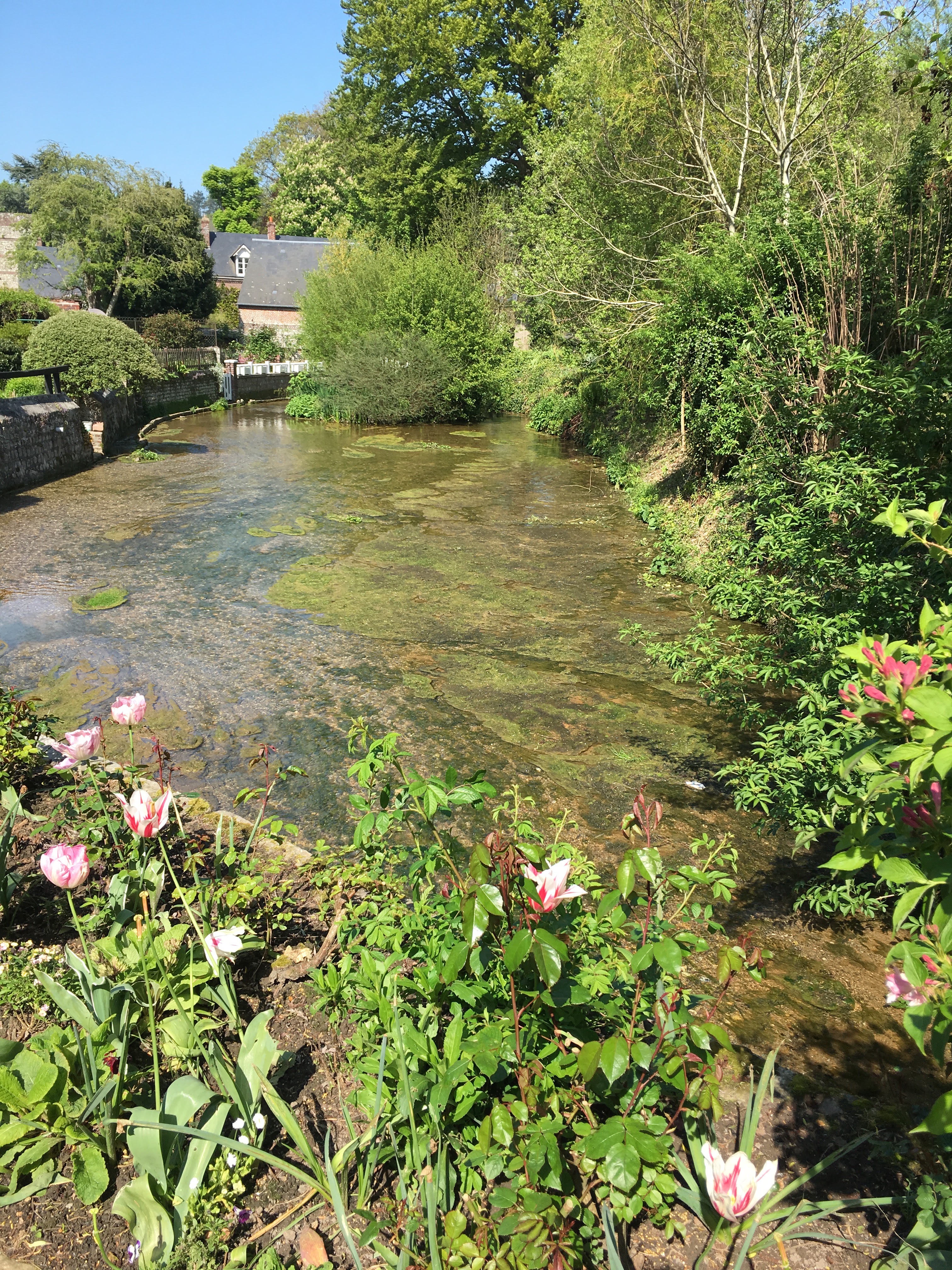 Photo n° 3 de l'avis de Rudisteanu.o fait le 08/05/2018 à 17:07