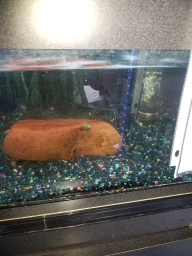 Pets Plus, 5054 Old Taylor Mill Rd, Taylor Mill, KY 41015, USA, 