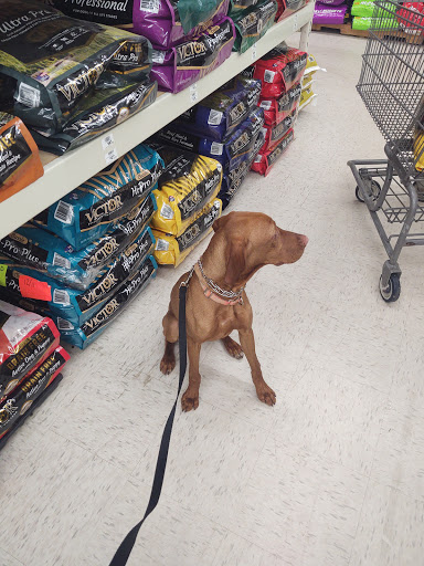 Farm Equipment Supplier «Family Farm & Home», reviews and photos, 66875 Gratiot Ave, Richmond, MI 48062, USA