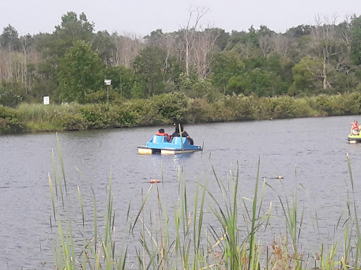 Water Park «Pioneer Waterland & Dry Fun Park», reviews and photos, 10661 Kile Rd, Chardon, OH 44024, USA