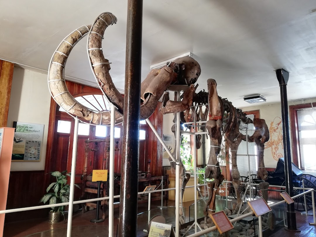 Museo del Mamut