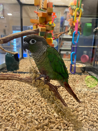 Pet Supply Store «PetSmart», reviews and photos, 625 W Crossville Rd, Roswell, GA 30075, USA