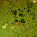 Photo n°4 de l'avis de Ernst. fait le 14/04/2024 à 17:53 sur le  Klausenhof à Bornhagen