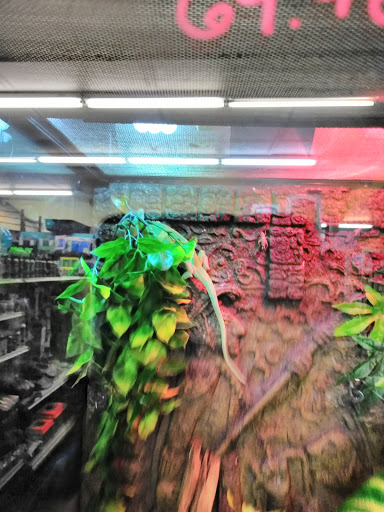 Pet Supply Store «City Pets & Ponds», reviews and photos, 4029 Mill St, Kansas City, MO 64111, USA