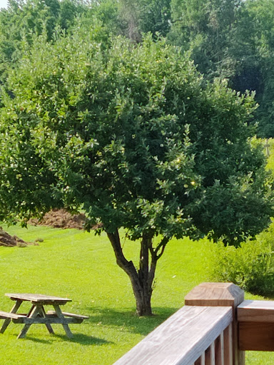 Winery «Butler Winery and Vineyards», reviews and photos, 6200 E Robinson Rd, Bloomington, IN 47408, USA