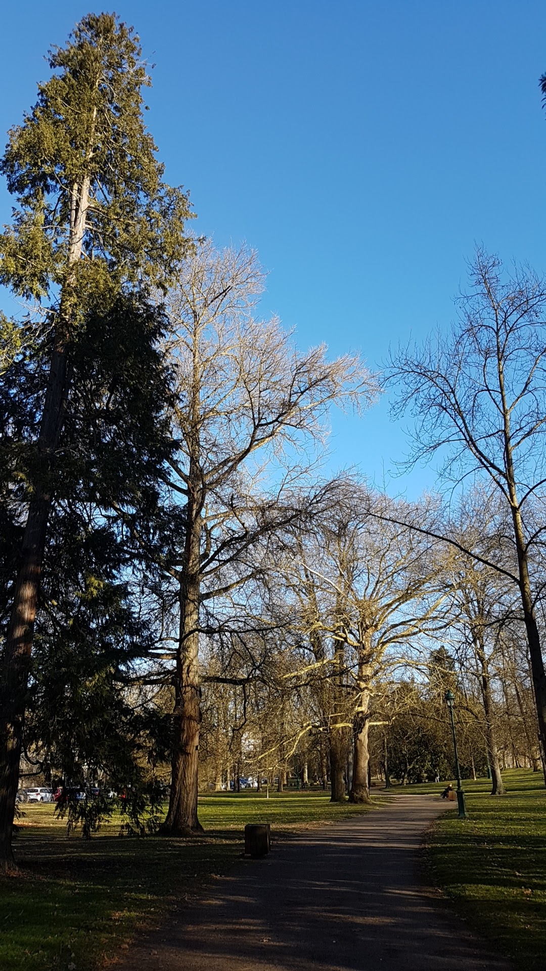 Photo n° 4 de l'avis de Aymeric.i fait le 15/02/2019 à 15:25