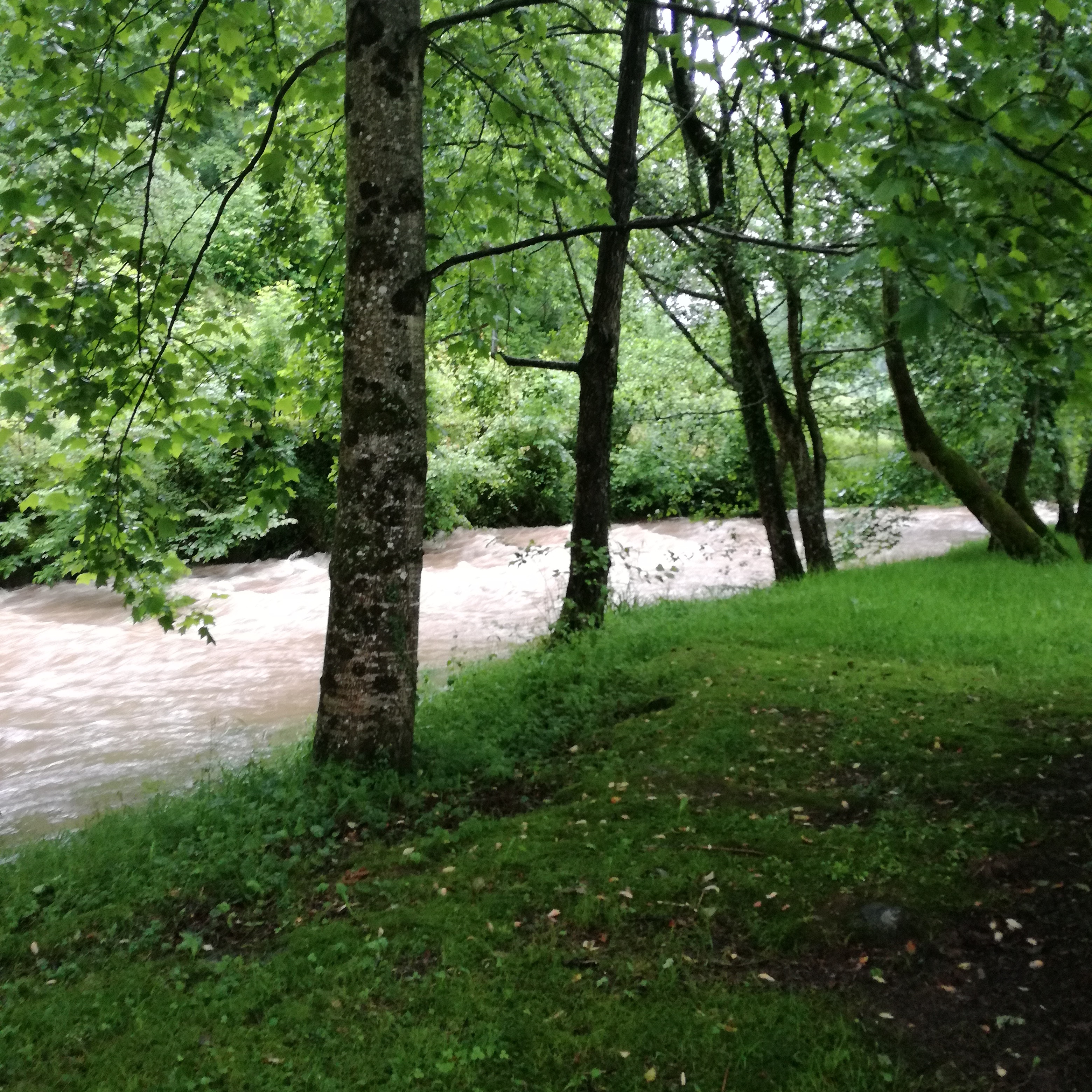 Photo n° 3 de l'avis de Elia.o fait le 16/06/2018 à 09:19