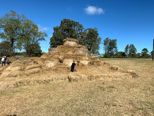 Farm «Warbington Farms (U-Pick Strawberries)», reviews and photos, 5555 Crow Rd, Cumming, GA 30041, USA