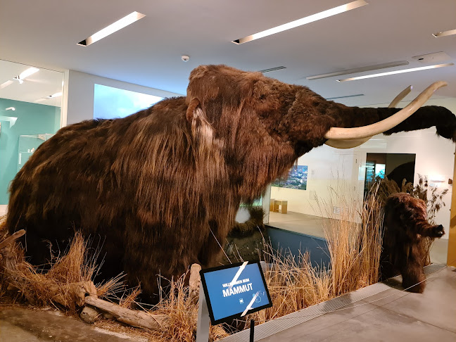 Rezensionen über Naturama in Baden - Museum