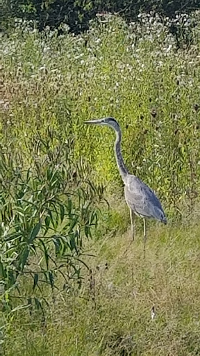 Golf Course «Boone Creek Golf Course», reviews and photos, 6912 Mason Hill Rd, Bull Valley, IL 60050, USA