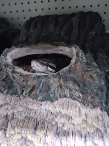 Pet Supply Store «PetSmart», reviews and photos, 1945 Pavilion Way, Lexington, KY 40509, USA