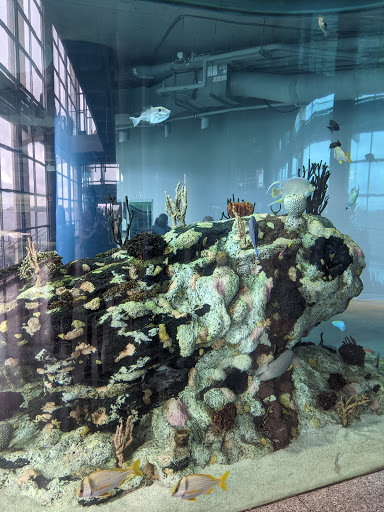 Parking Garage «SC Aquarium Garage», reviews and photos, 24 Calhoun St, Charleston, SC 29401, USA