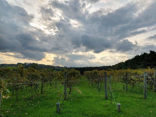 Winery «Guggisberg Doughty Glen Winery», reviews and photos, 5025 OH-557, Millersburg, OH 44654, USA