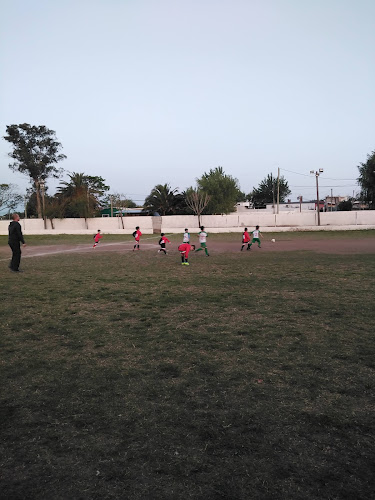 Cancha baby futbol Club Social Cultural y deportivo Florida