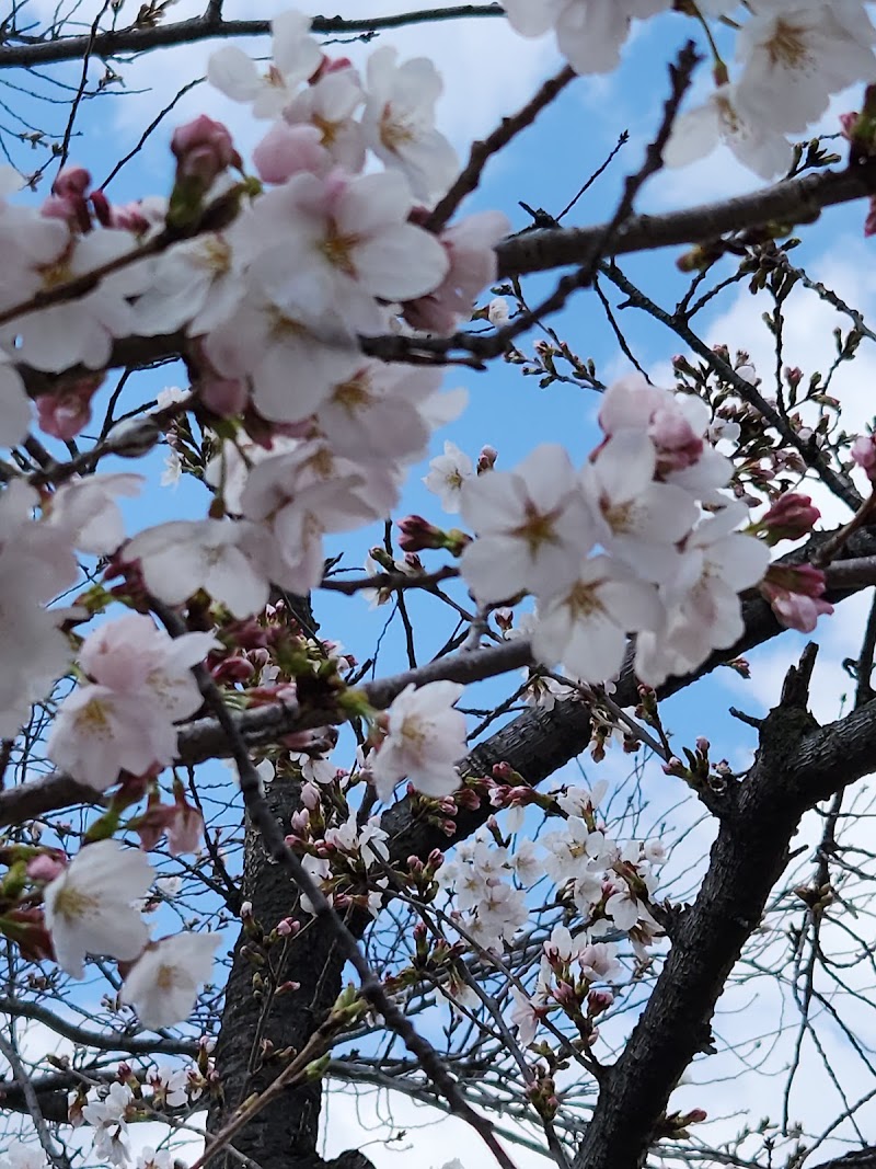 田井中公園