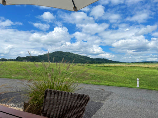 Vineyard «Early Mountain Vineyards», reviews and photos, 6109 Wolftown-Hood Rd, Madison, VA 22727, USA